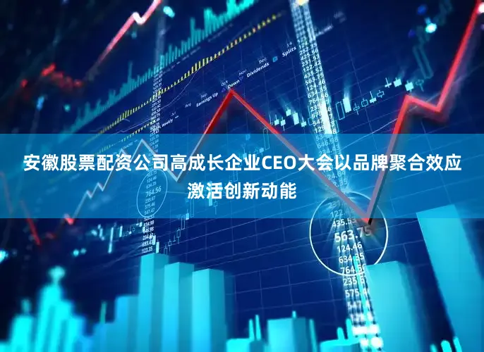 安徽股票配资公司　　高成长企业CEO大会以品牌聚合效应激活创新动能
