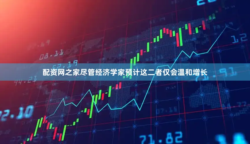 配资网之家尽管经济学家预计这二者仅会温和增长