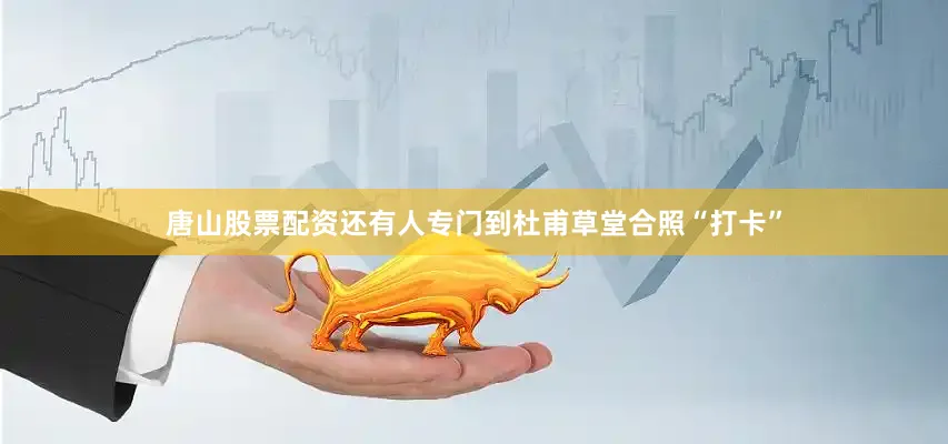唐山股票配资还有人专门到杜甫草堂合照“打卡”